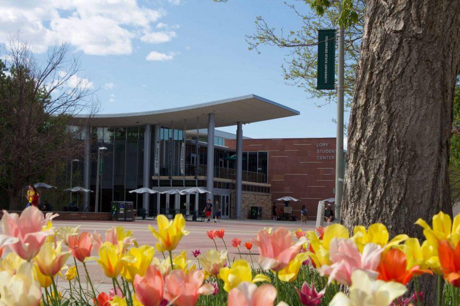 Colorado State University has many classes and other oppurtunities available to students and community members over the summer. (Matt Begeman | Collegian)