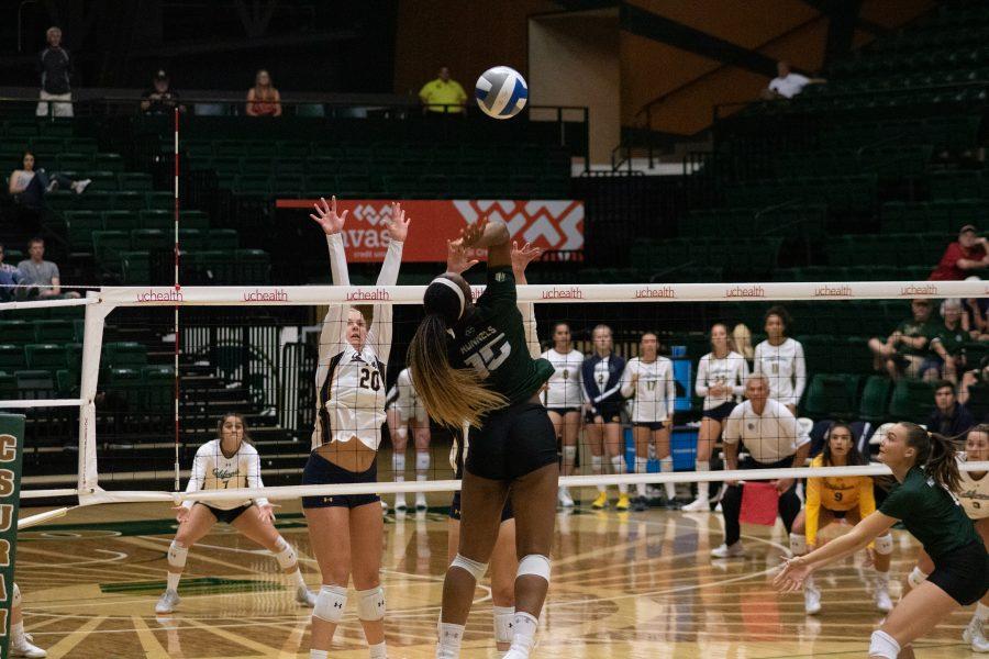 Breana Runnels (15) jumps to spike the ball, while the Rams play the Golden Bears at home. The Rams fall three sets to one. (Devin Cornelius | Collegian)