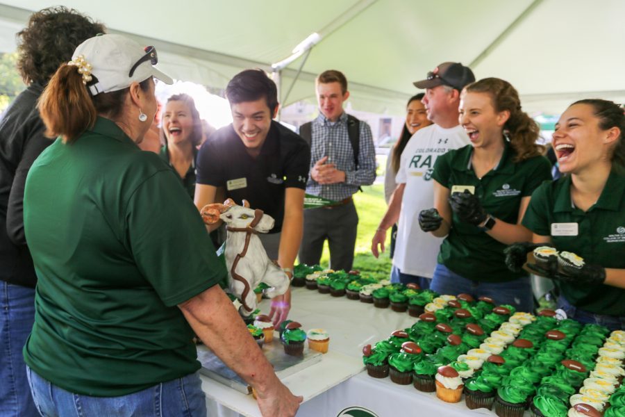 Baker Janet Barron reveals a ram sculpted out of chocolate for the College of Engineering's cupcake display during the Festival on the Oval Friday, Oct. 4th. She made the ram from 25 pounds of chocolate, and brought 1,000 handmade cupcakes from Texas to Fort Collins to celebrate the event. (Brooke Buchan | Collegian)