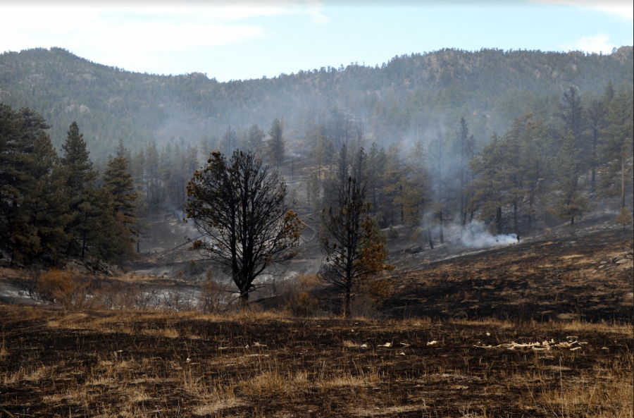 Oct. 17, 2019 - The Elk Fire in Larimer County has been suppressed by cold weather and wind, but crews are still working to fully contain the fire as of Friday. (Photo courtesy of the Larimer County Sheriffs Office)