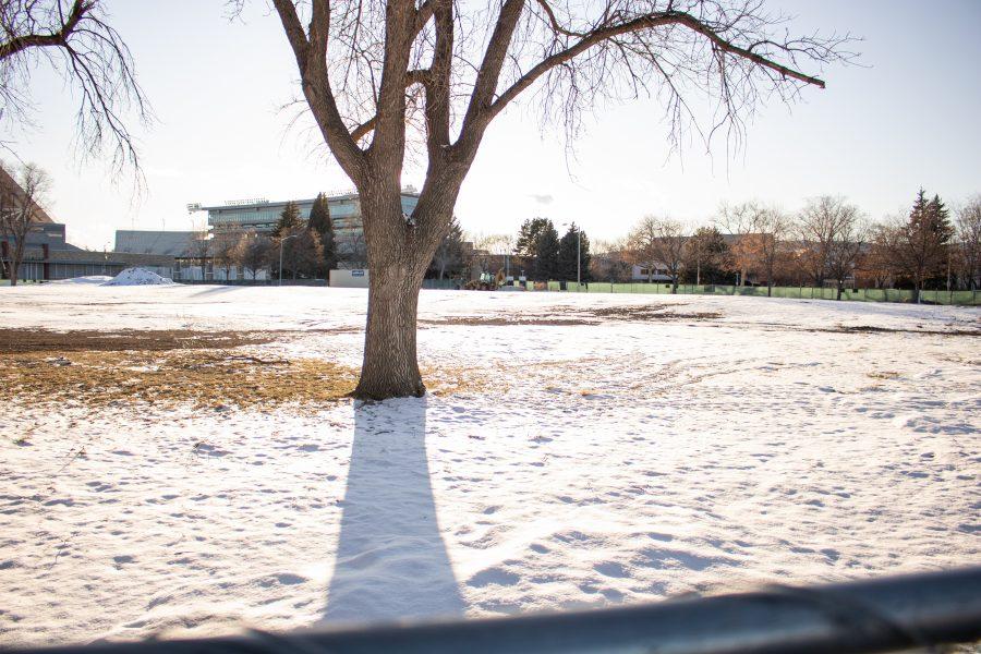 A tree stands inside the construction zone for Meridian Village the new housing community that is scheduled to be completed in 2025. (Devin Cornelius | Collegian)