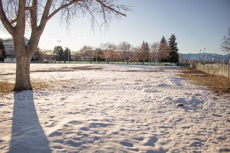 A tree stands inside the construction zone for Meridian Village the new housing community that is scheduled to be completed in 2025, this lot used to be where Aylesworth Hall stood.  (Devin Cornelius | Collegian)
