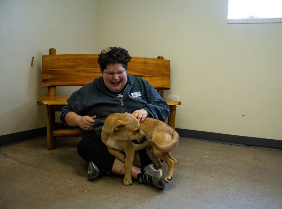 Jess Cytron, Foster and Transfer Coordinator at Animal House, soon to be Animal Friends Alliance plays with a dog at the shelter. (Monty Daniel | The Collegian)