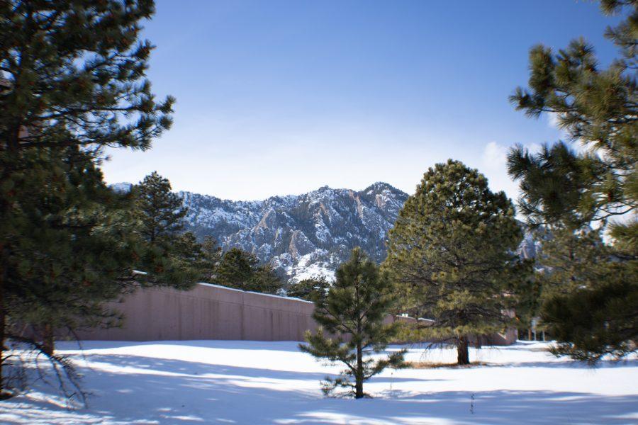 Several trees stand in front of the Flat Irons. The Spruce Beetle population is significa(Devin Cornelius | Collegian)
