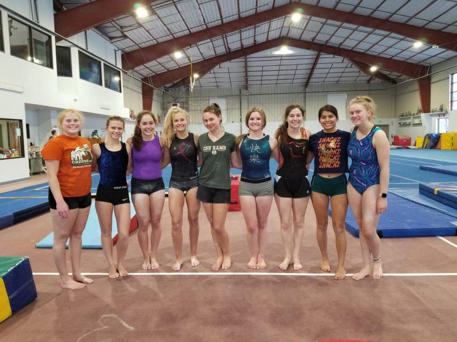 Meet the CSU Gymnastics Club
