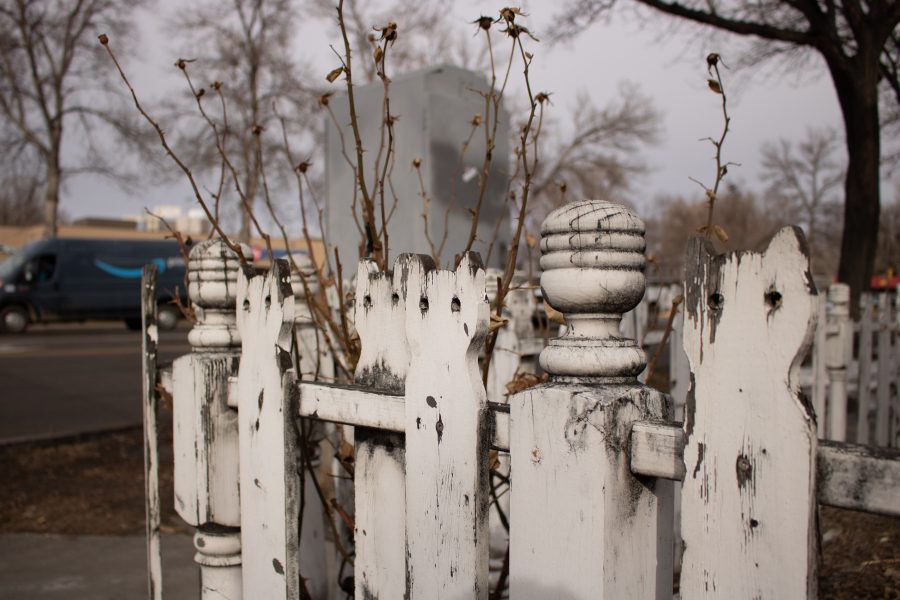 The Cat Fence at the corner of East Mulberry and College Avenue. (Devin Cornelius | Collegian)