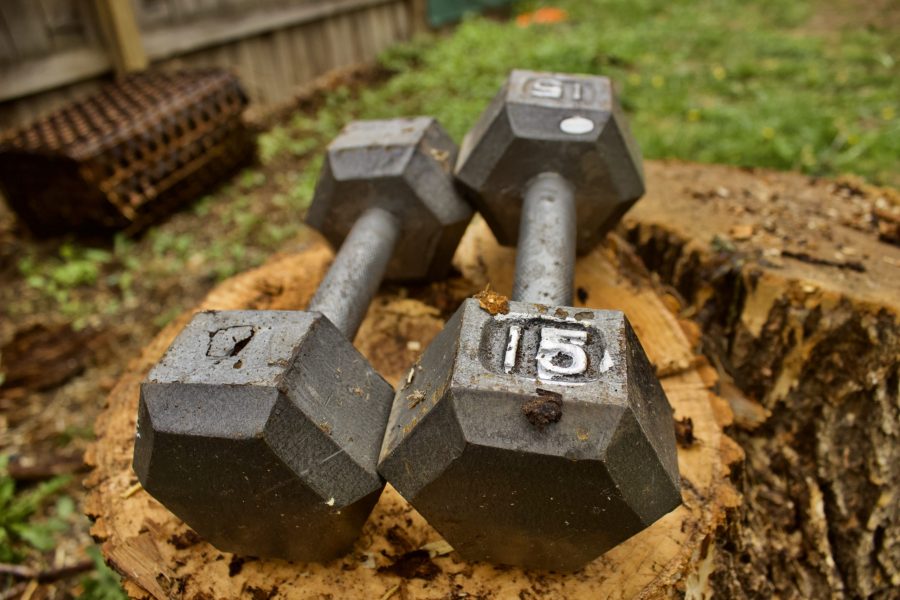 15 pound iron weights lie on a tree stump. (Ian Fuster | The Collegian)