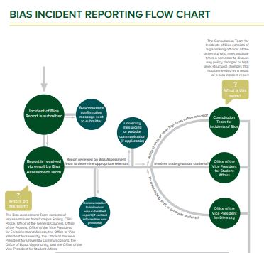 bias report flow chart