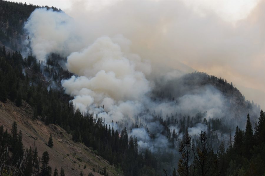 Smoke rises from the Cameron Peak fire north of highway 14, Aug. 19. (Photo courtesy of Cameron Peak Fire Media)