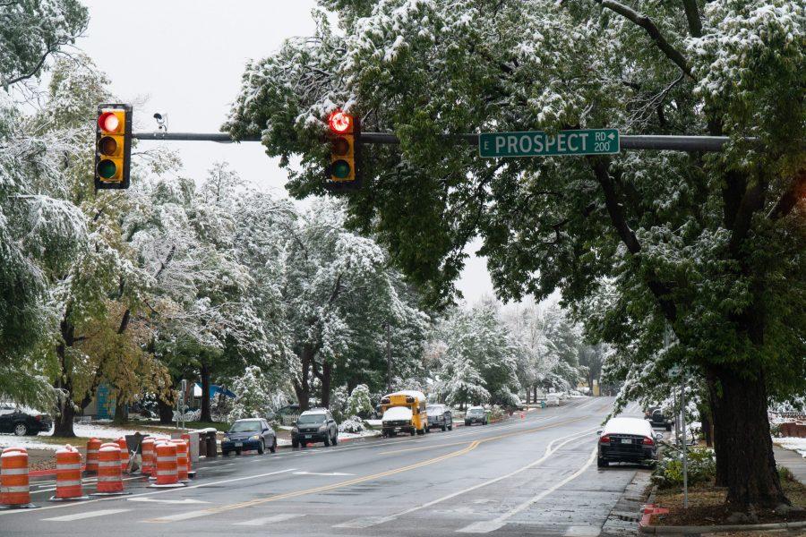 Snow covered trees on Prospect Road. (Ben Leonard | The Collegian)