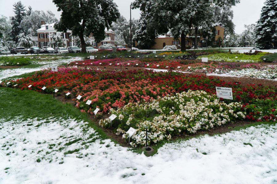 Sprinklers run over snow covered flowers outside the University Center For The Arts. (Ben Leonard | The Collegian)