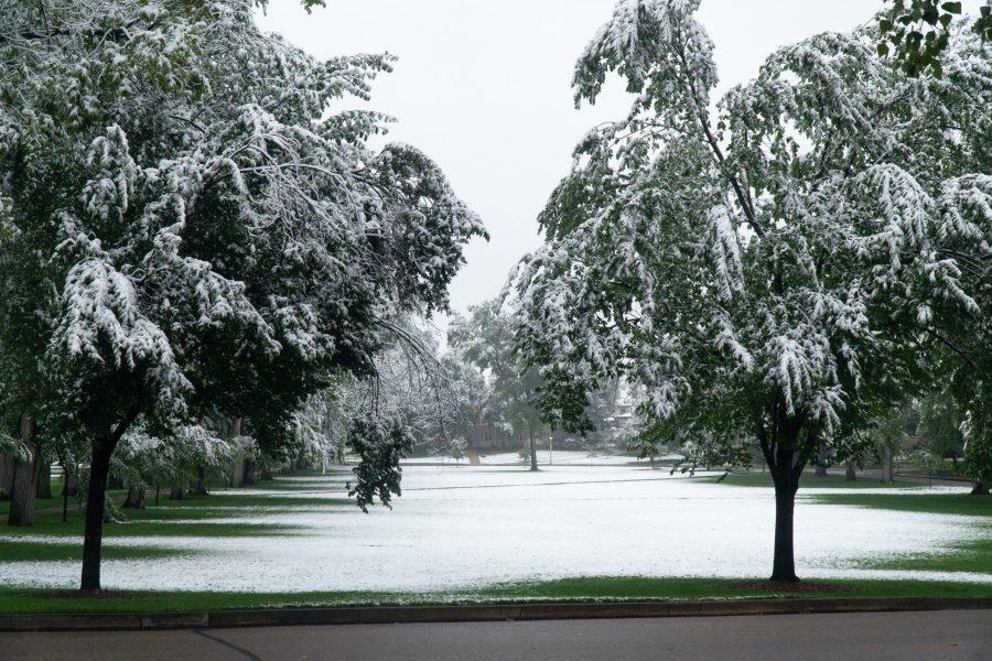 Snow Draped Trees in the Oval. (Ben Leonard | The Collegian)