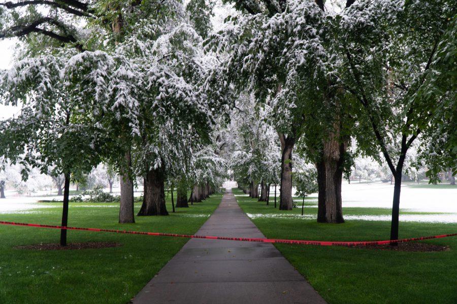 Danger Do Not Enter tape placed over a sidewalk in the Oval as a result of fallen branches. (Ben Leonard | The Collegian)