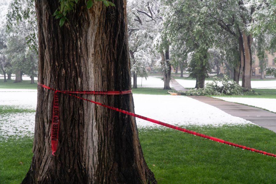 Danger Do Not Enter tape placed over a sidewalk in the Oval as a result of fallen branches. (Ben Leonard | The Collegian)