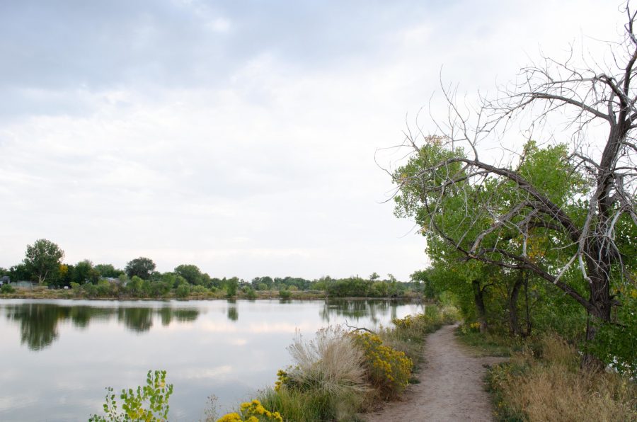 Miles of trails with tributaries leading to fishing spots at Riverbend Ponds. (Reed Slater | The Collegian)