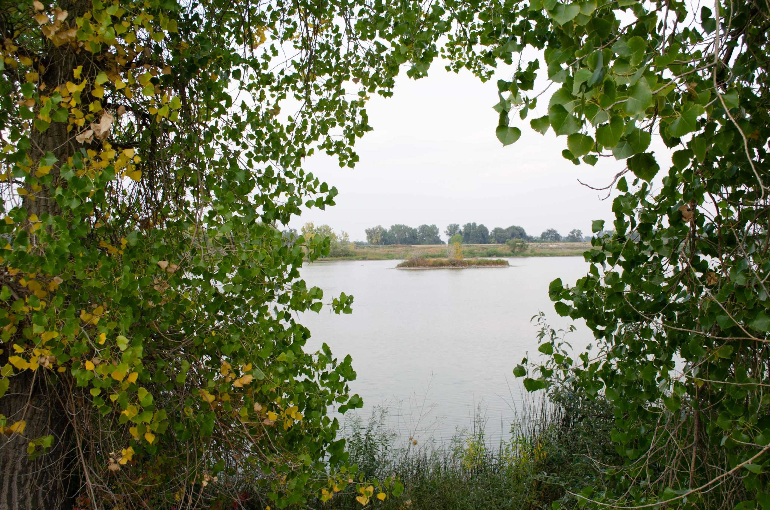 Fishing In Fort Collins, CO  Natural Areas & Information