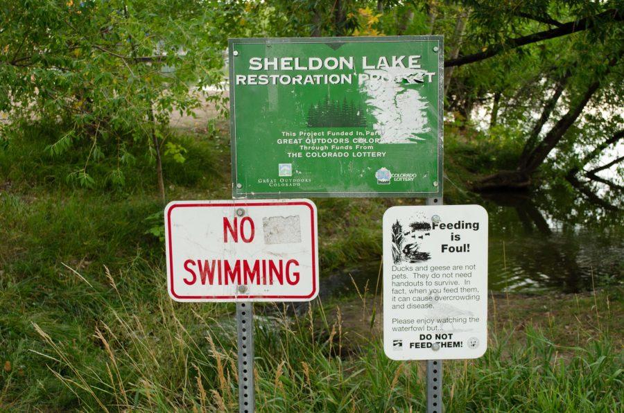 Signs at Sheldon Lake state no swimming or feeding animals. (Reed Slater | The Collegian)
