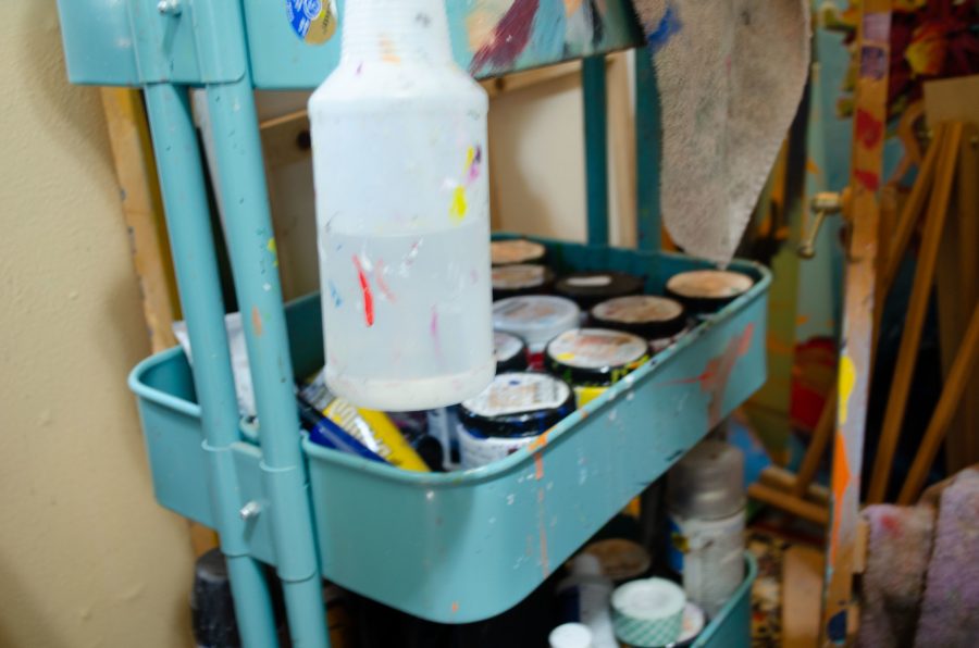 Parker uses house paint for nearly all of her paintings. She says she likes it because it is cheap and it dries faster than traditional acryclic paints. (Reed Slater | Collegian)