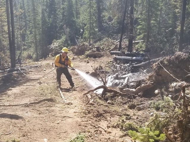 A firefighter cools a hot stump Oct. 4 as line reinforcement operations continue near Killpecker tower. (Photo Courtesy of Cameron Peak Fire Media)