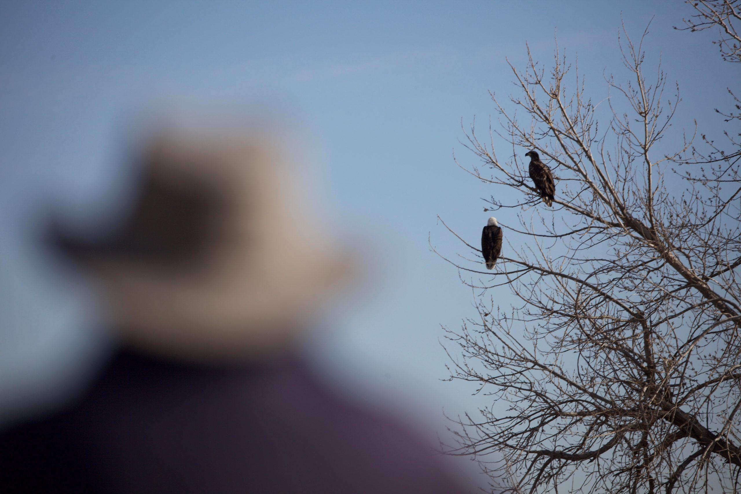 birder looks through binoculars