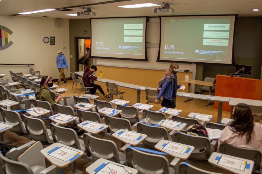Students in Tim Amidons Digital Rhetoric class attend in-person lectures to have a more inclusive way of discussing communication and design while staying safe and following CDC guidelines on Feb 23. (Laurel Sickels | Collegian)