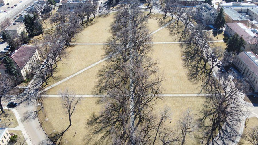 The elms on The Oval sit barren March 6, 2021. 