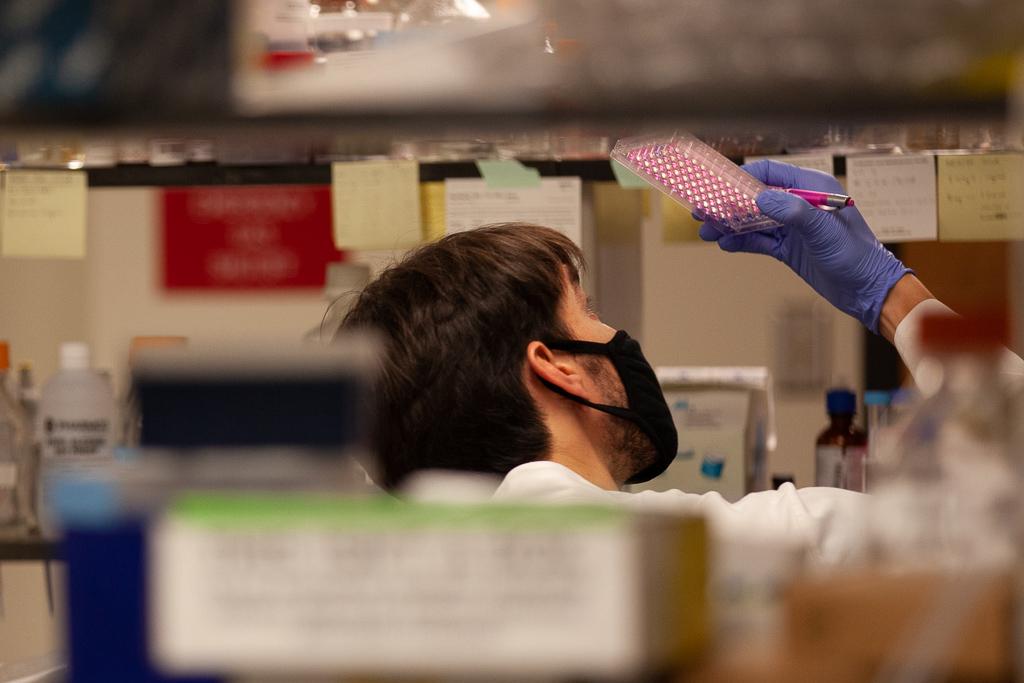 person looks at a tray in a lab