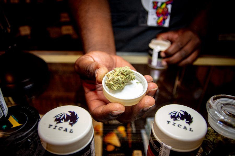 Tical Free M.A.C, marijuana bud on display at Simply Pure in Denver, Colorado Aug.20. (Tri Duong | The Collegian)