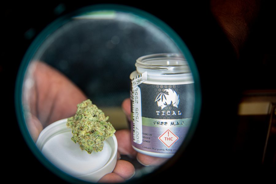 Tical Free M.A.C, a new marijuana strain at Simply Pure in Denver, Colorado Aug. 20 The inspiration for this strain came from Method Mans Tical album. (Tri Duong | The Collegian)