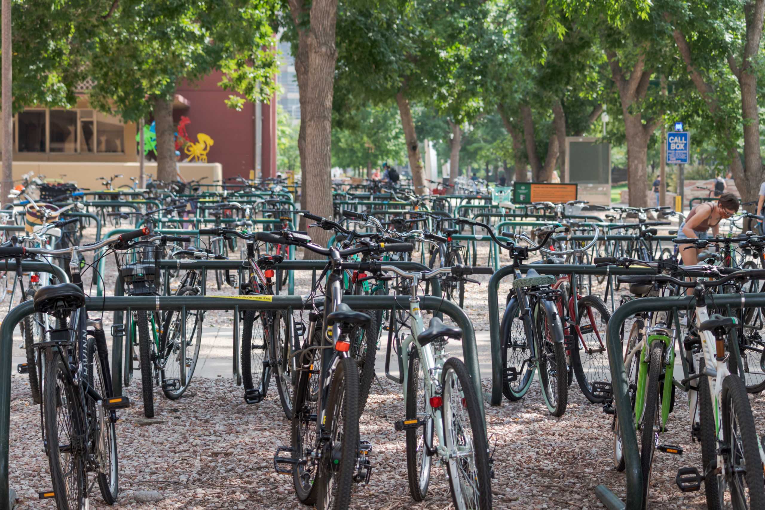 Bicycles sit in a bike rack