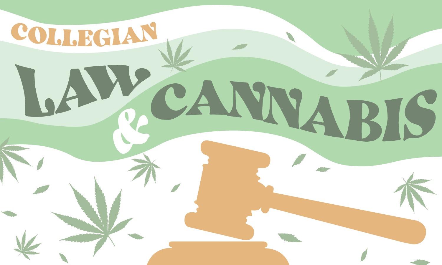 Graphic depicting a gavel and marijuana leaves with the words “Law & Cannabis”