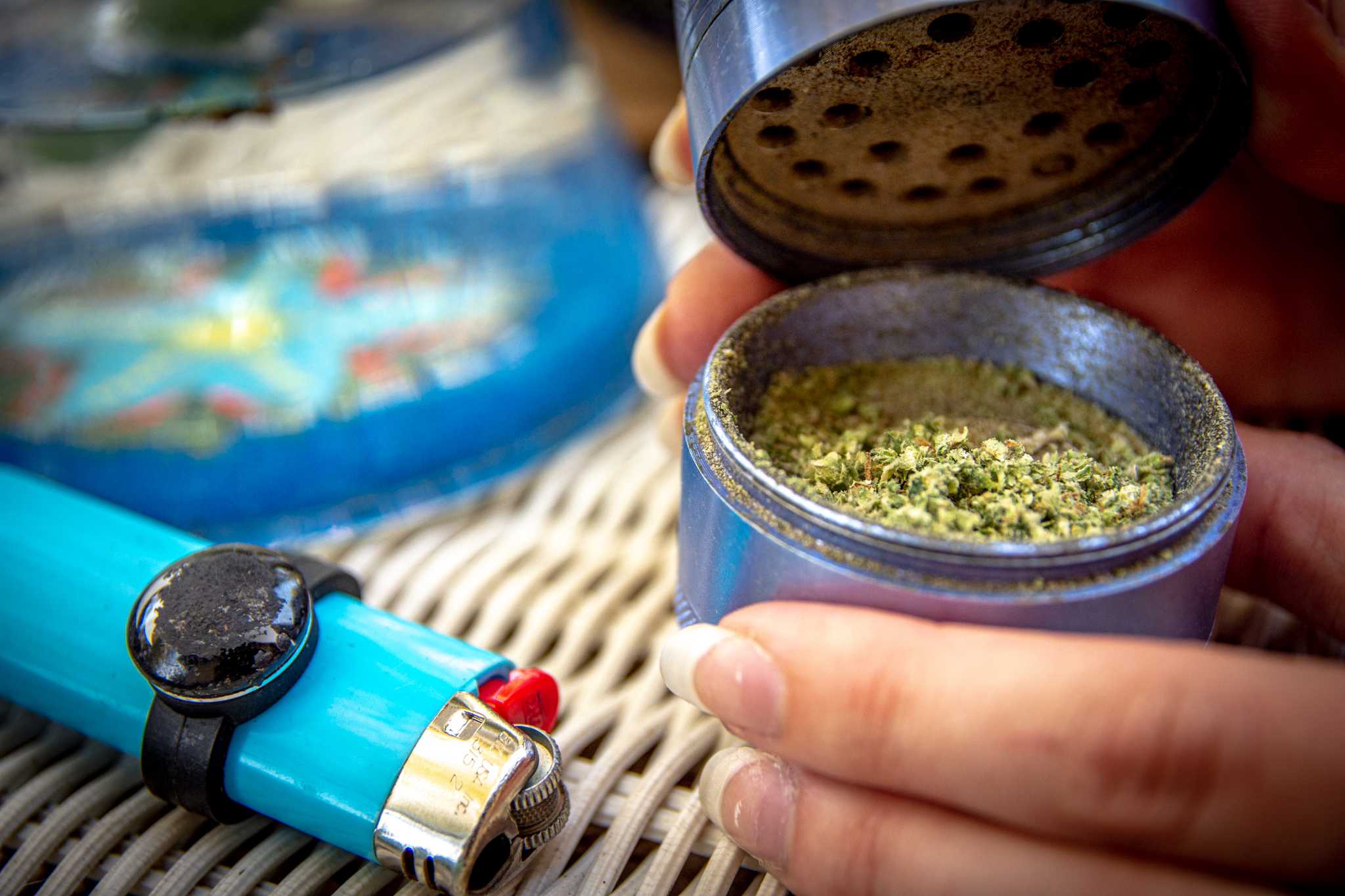 Marijuana sits in a grinder next to a lighter