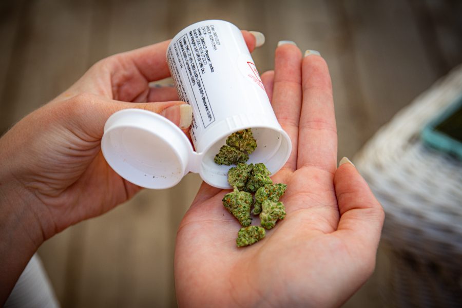 A photo illustration of marijuana buds dumped onto a hand Sept. 6. The marijuana strain was an indica dominant called GMO LS. (Tri Duong | The Collegian)