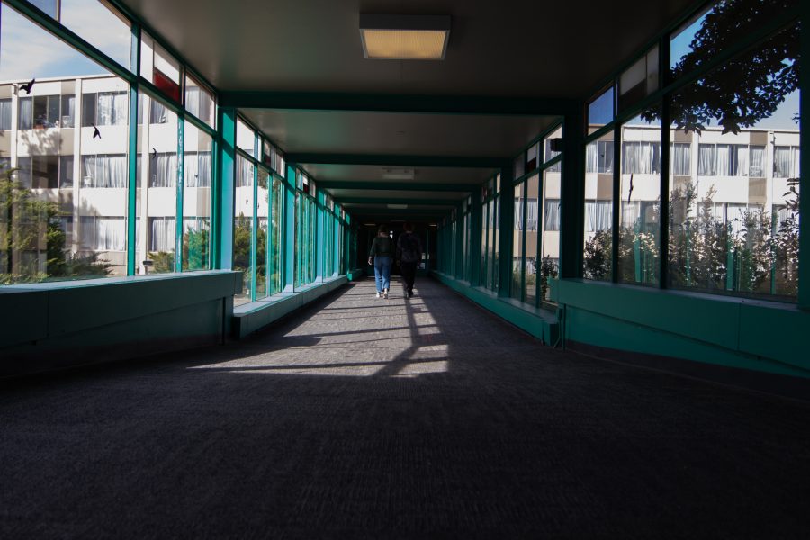 Colorado State University students chat in between buildings in Newsom Hall Sept. 24. (Grayson Reed | The Collegian