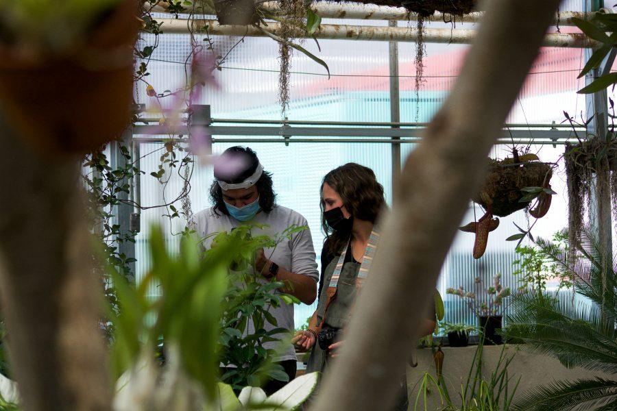 Students Alex Gusdorf and Andrea Pennington practice macro photography inside the Colorado State University Conservatory Sept. 21. (Milo Gladstein | The Collegian)