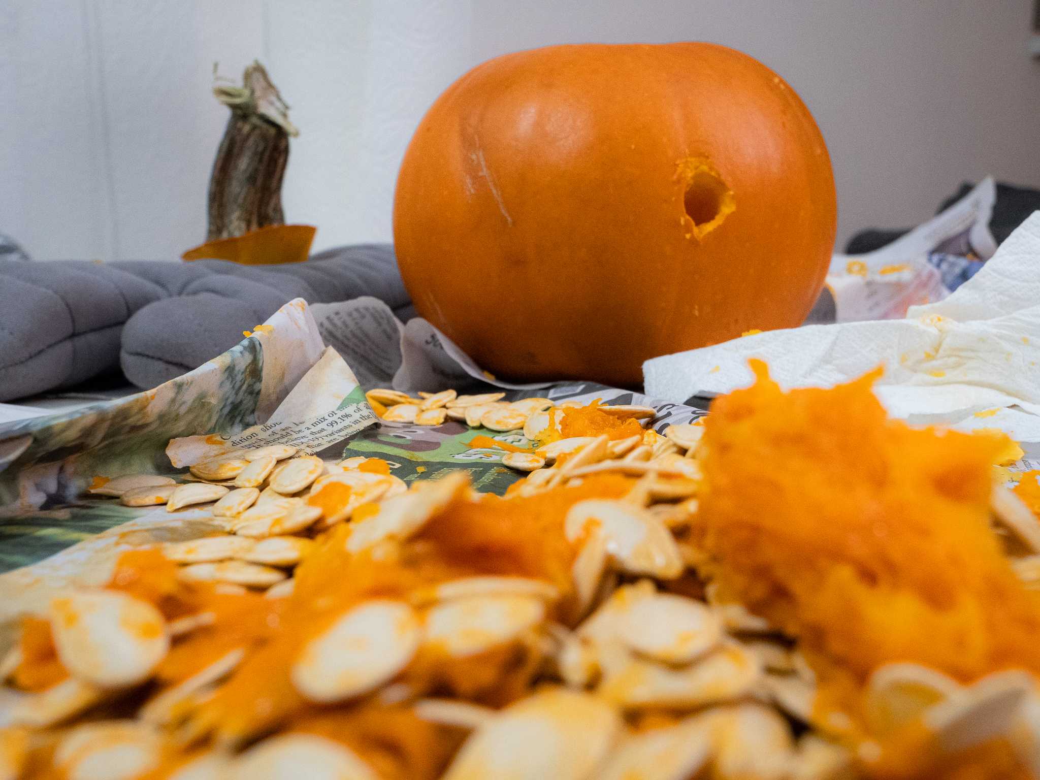 Pumpkin guts and seeds laid out in front of a pumpkin