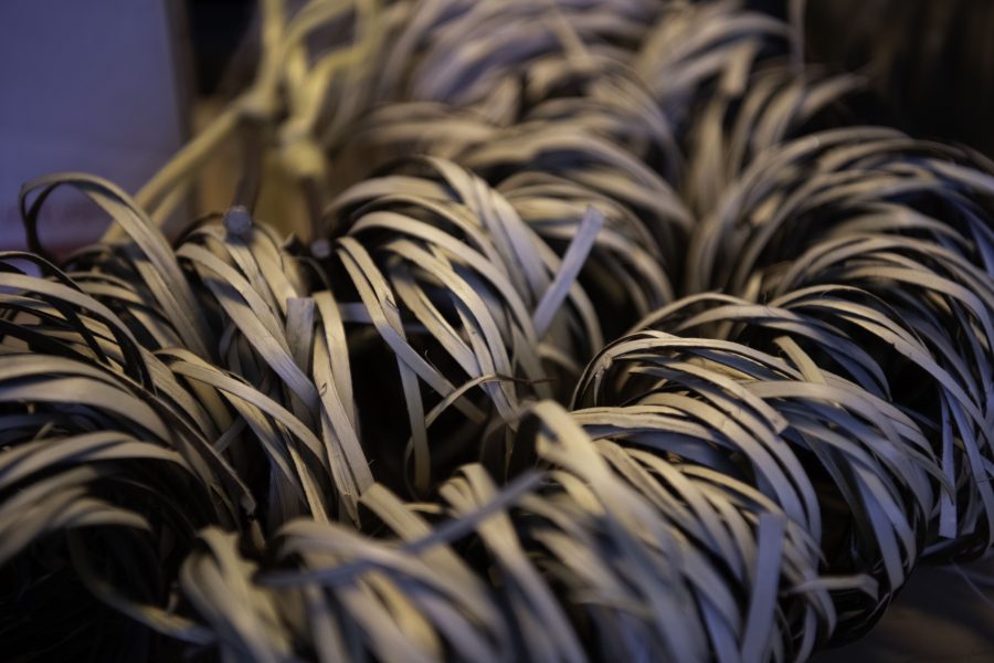 A coil of California redbud sits on Stephen Young's kitchen table in his apartment Oct. 12. Young uses the Californian redbud to make hand-woven Northern Californian-style baskets. Young is the first in five or more generations of his family to weave basketry, learning for the past two years from tribal masters as well as on his own. “Basketry is the representation of our culture,” Young said. (Garrett Mogel | The Collegian)