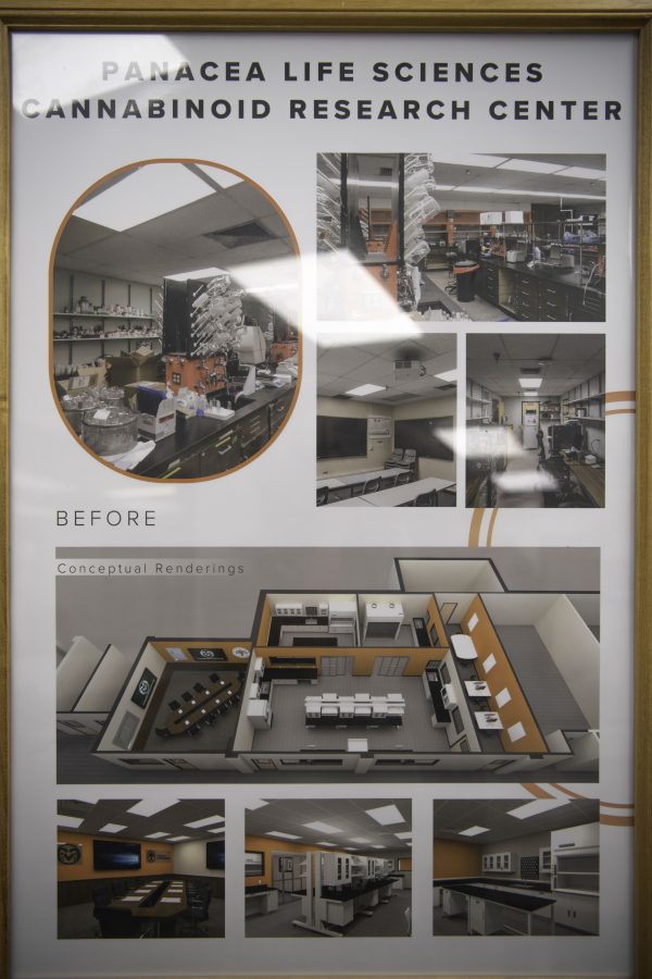A rendering and photos of the new Cannabinoid Research Center in the Colorado State University Yates Chemistry building. The lab was a 1.5-million-dollar gift from CSU alumna Leslie Buttorff, CEO of Panacea Life Sciences. Buttorff stated, “What we want to do is find unique cannabinoids that can help people, natural remedies to get rid of big pharma medicine that people have.” Oct. 19. (Garrett Mogel | The Collegian)