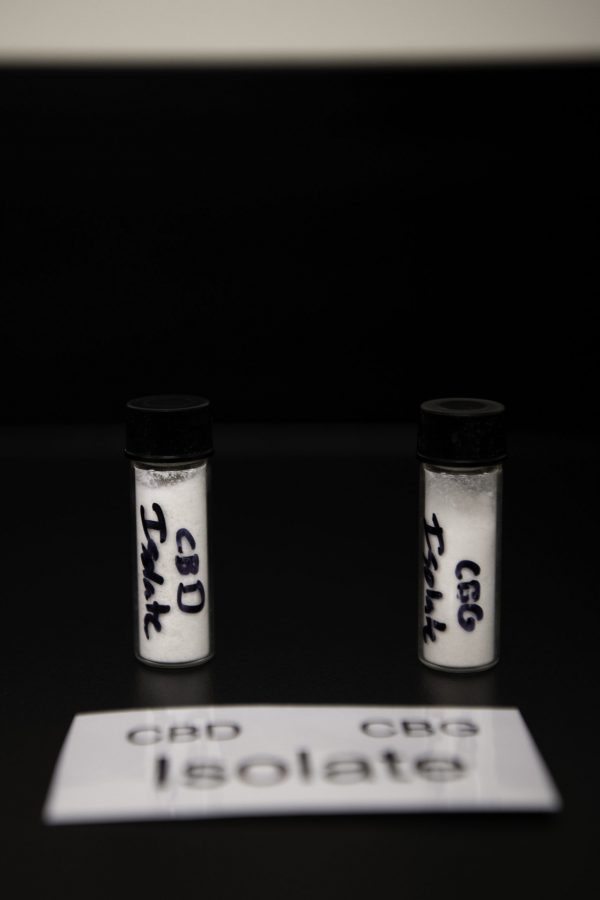 Isolated cannabidiol (CBD) and cannabigerol (CBG) from the cannabis plant is displayed in the new Cannabinoid Research Center on Colorado State University Campus Fort Collins Colorado. The lab is a 1.5-million-dollar gift from CSU alumna Leslie Buttorff, Chief Executive Officer of Panacea Life Sciences and had its grand opening Oct. 19. (Garrett Mogel | The Collegian)