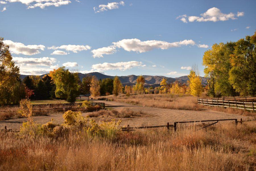 Landscape photo of Red Fox Meadow Natural Area on a beautiful Fall Day, Oct. 24