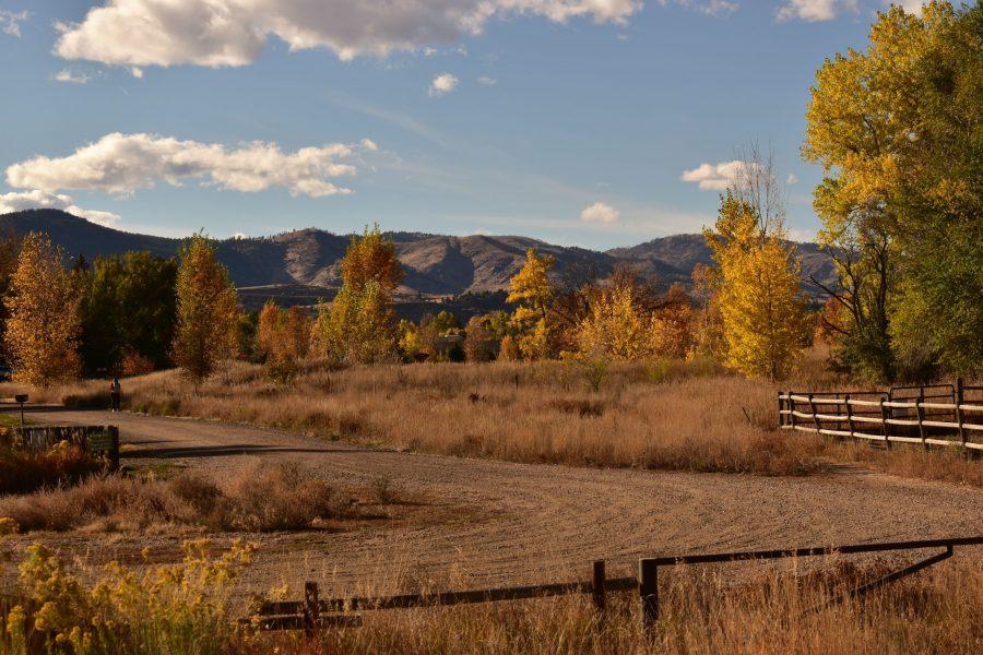 Landscape photo of Red Fox Meadow Natural Area on Oct. 24. (Michael Giles | The Collegian)