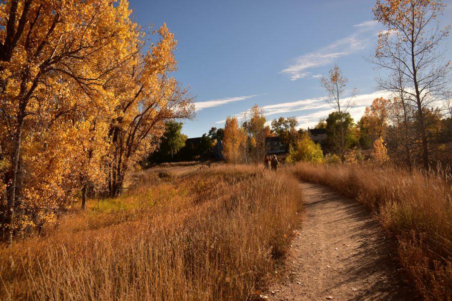 Landscape photo of Red Fox Meadow Natural Area on a beautiful Fall Day, Oct. 24