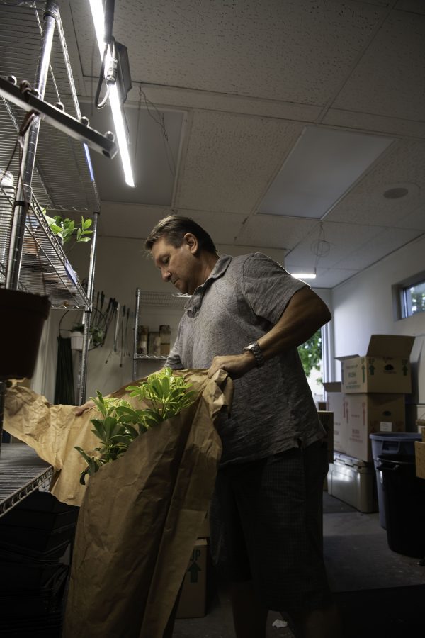 David Cantor co-owner of Horsetooth Stems and Roots House Plant Boutique in Fort Collins Colorado unwraps a plant hand chosen from a Denver supplier Oct. 4. (Garrett Mogel | The Collegian)
