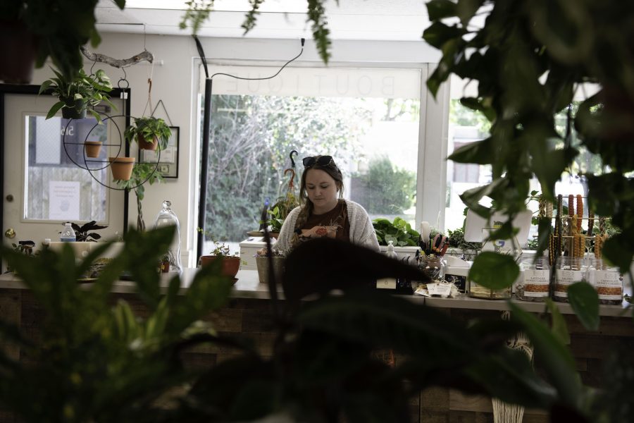 Kaley Smylie-Halligan co-owner of Horsetooth Stems and Roots House Plant Boutique in Fort Collins Colorado stands behind the counter Oct. 4. (Garrett Mogel | The Collegian)