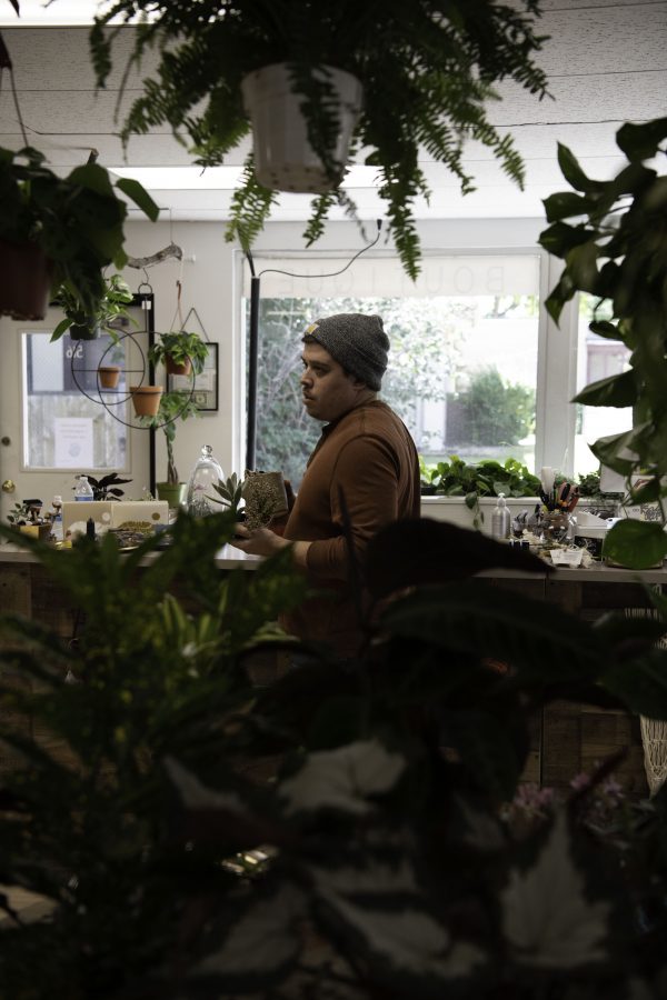 Korey Halligan co-owner of Horsetooth Stems and Roots House Plant Boutique in Fort Collins Colorado holds two plants for a customer Oct. 4. (Garrett Mogel | The Collegian)