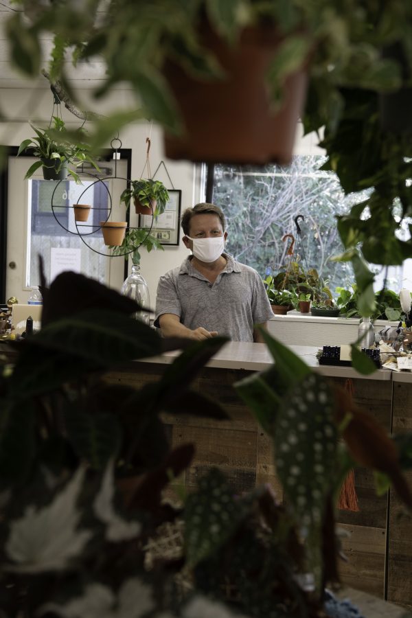 David Cantor co-owner of Horsetooth Stems and Roots House Plant Boutique in Fort Collins Colorado stands behind the counter Oct. 4. (Garrett Mogel | The Collegian)