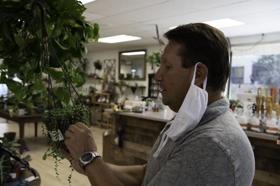 David Cantor co-owner of Horsetooth Stems and Roots House Plant Boutique in Fort Collins Colorado holds a plant known as String-of-pearls in the shop Oct. 4. (Garrett Mogel | The Collegian)