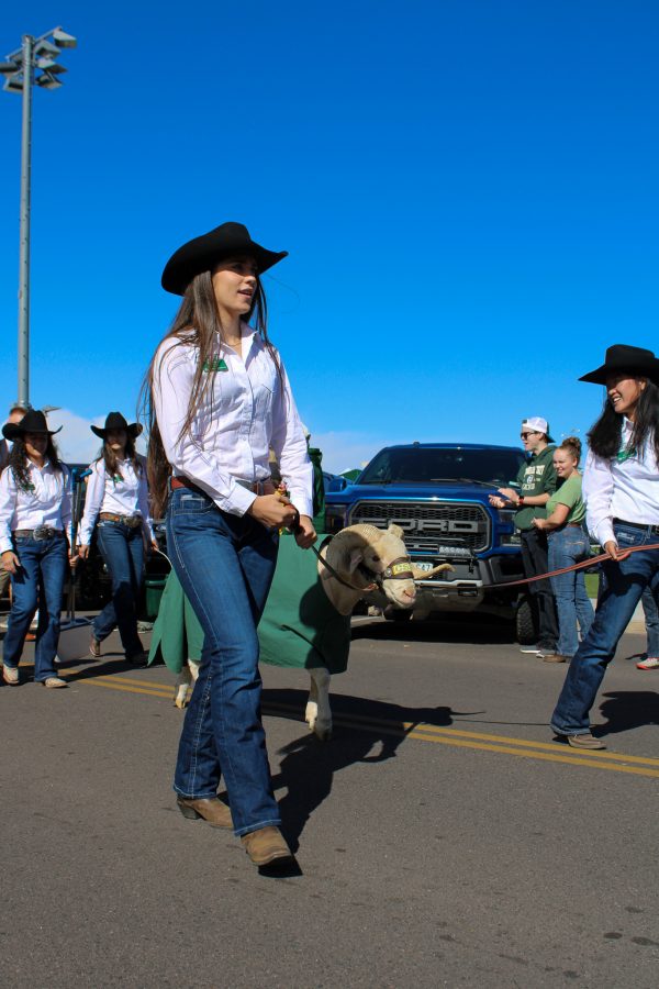 Colorado State University's mascot, CAM the Ram, walks towards Canvas Stadium before the homecoming game Oct. 9, 2021.  