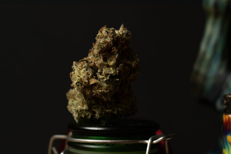 Marijuana nugget of Indica strain Black Fire Chem, with a THC of 18.23 Oct 31. (Photo illustration by Grayson Reed | The Collegian)