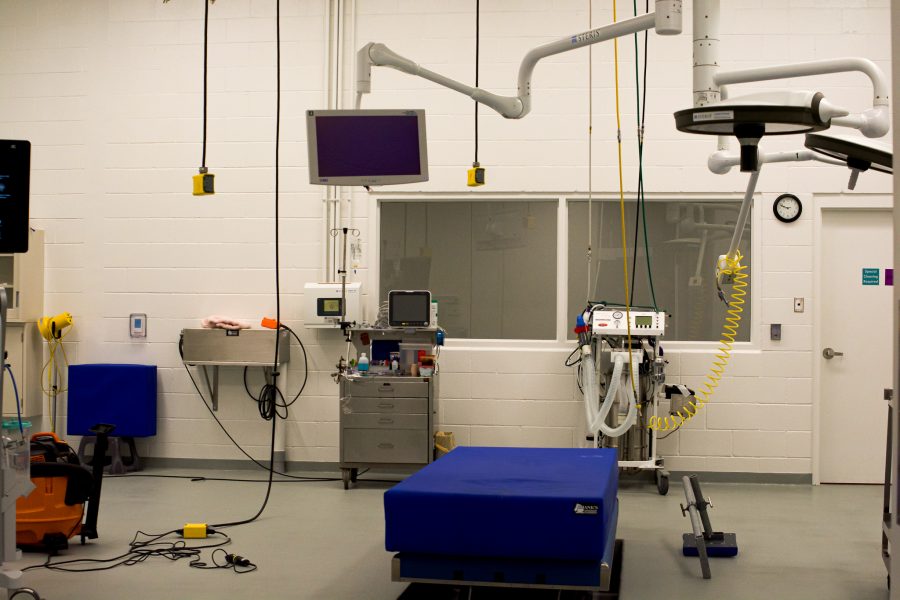 Operating room at Johnson Family Equine Hospital